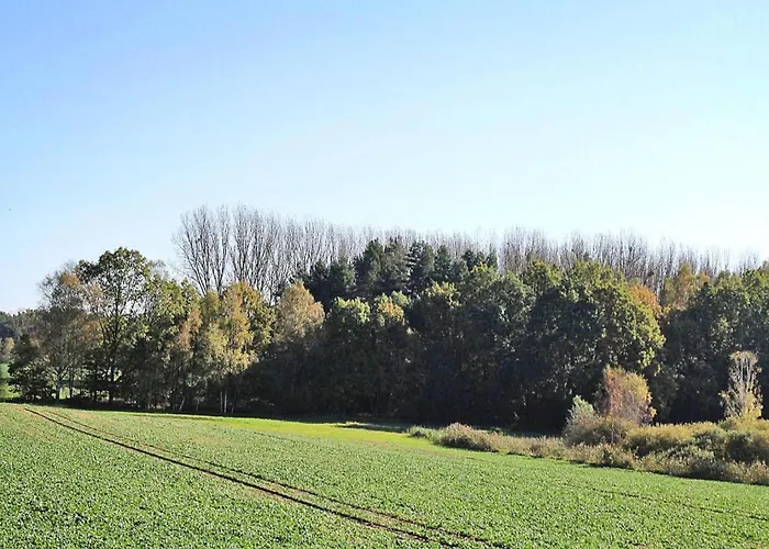 Mirow, Διαμέρισμα *